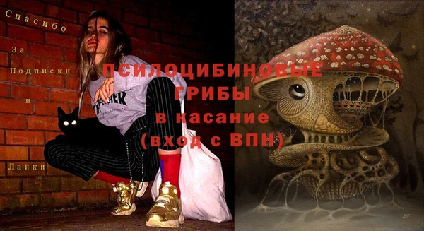 шишки Аркадак