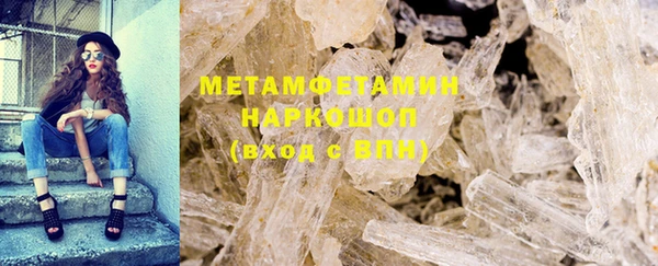 шишки Аркадак