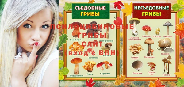 шишки Аркадак