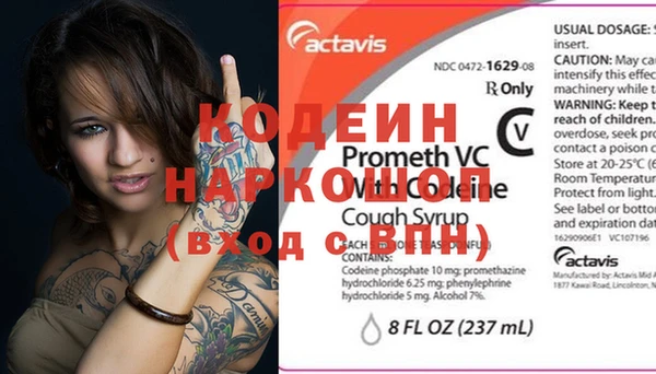 шишки Аркадак