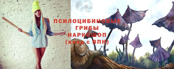 мескалин Арсеньев