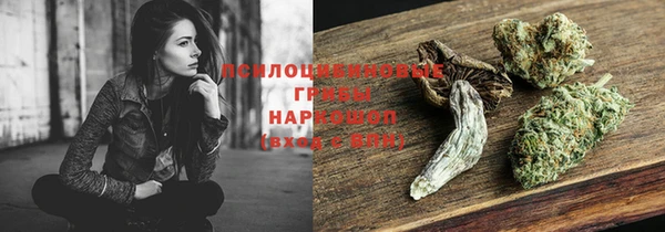 мескалин Арсеньев