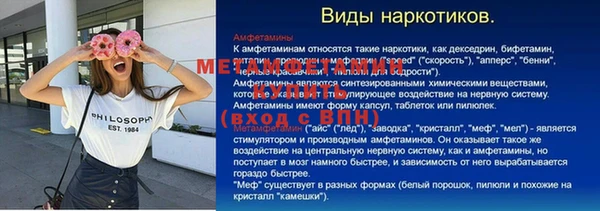 шишки Аркадак