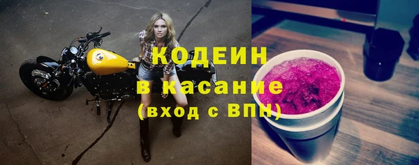 шишки Аркадак