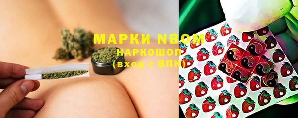 шишки Аркадак