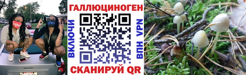 Псилоцибиновые грибы Psilocybine cubensis  Полярный 
